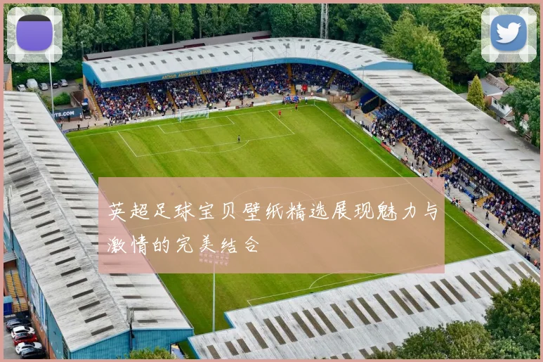 英超足球宝贝壁纸精选展现魅力与激情的完美结合
