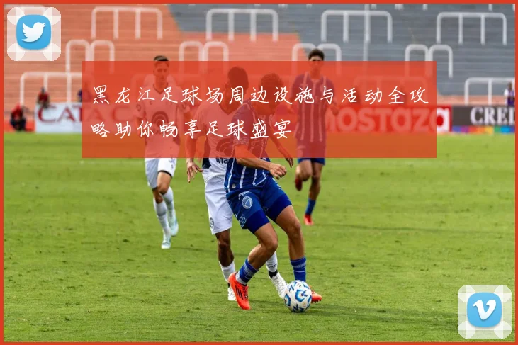 黑龙江足球场周边设施与活动全攻略助你畅享足球盛宴